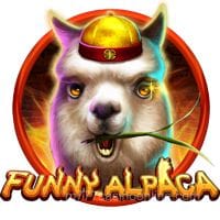 Funny Alpaca